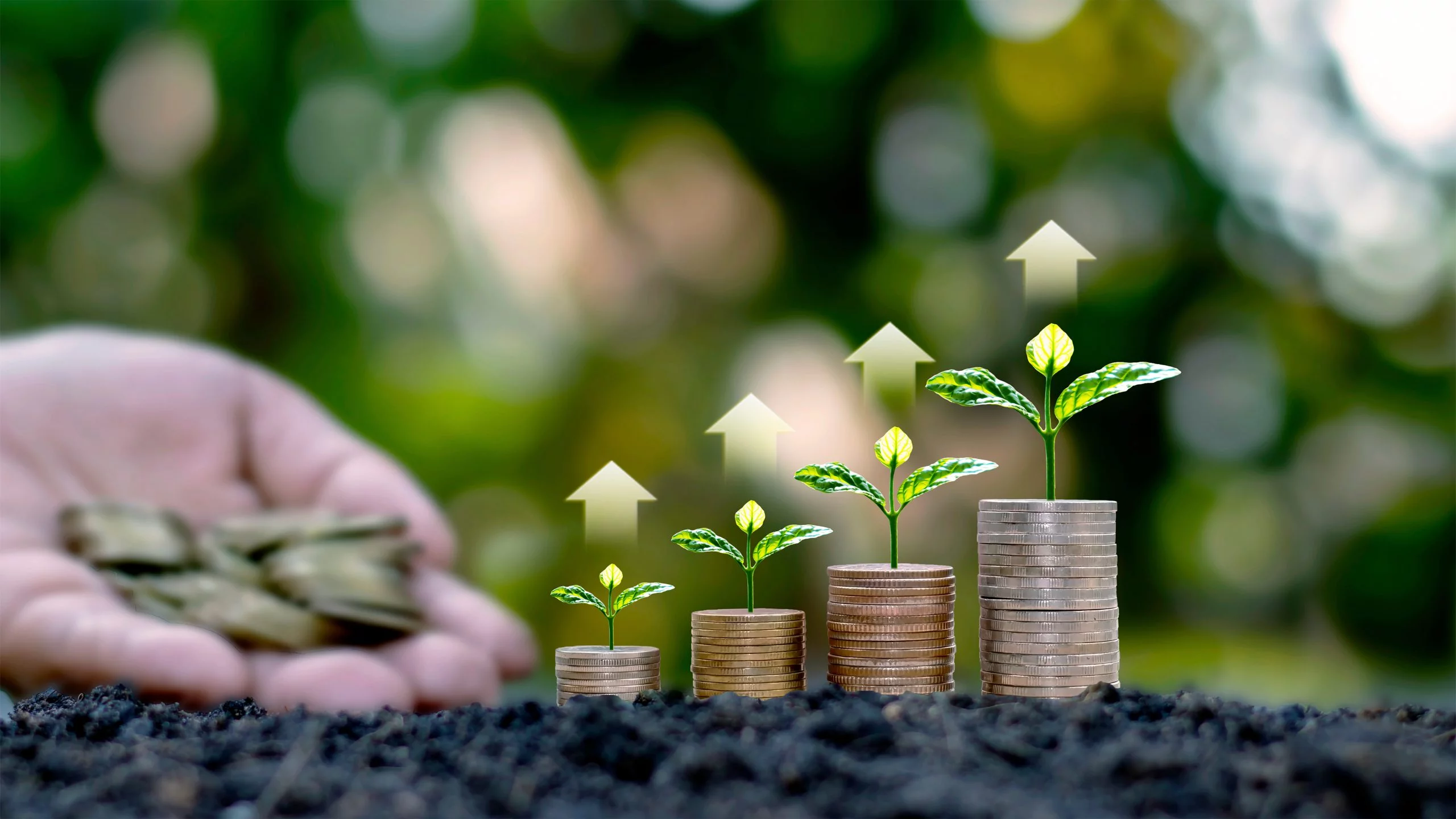 Agriculture Loans Siddhi Traders Pvt. Ltd.