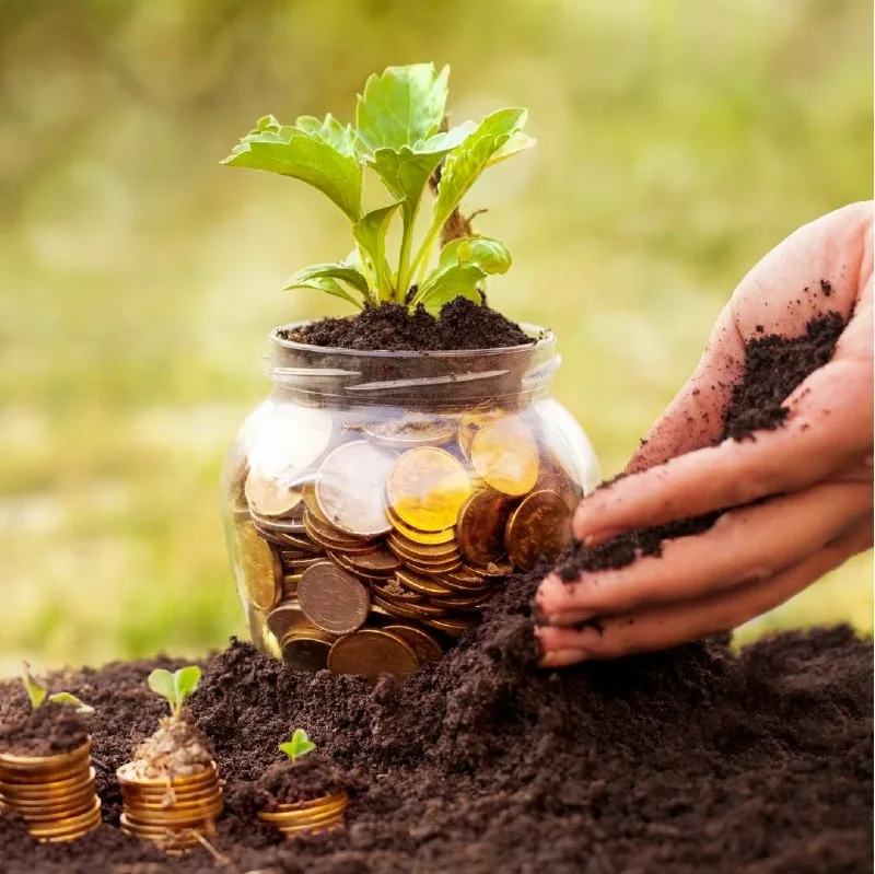 Mission of Siddhi Traders Pvt. Ltd.